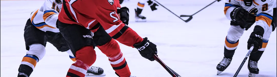 Charlotte Checkers