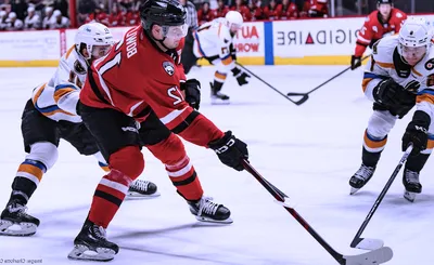 Charlotte Checkers