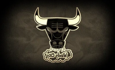Chicago Bulls