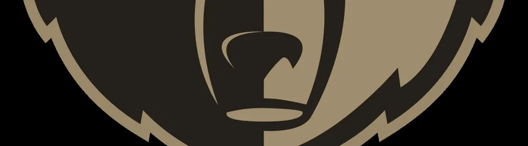 Memphis Grizzlies