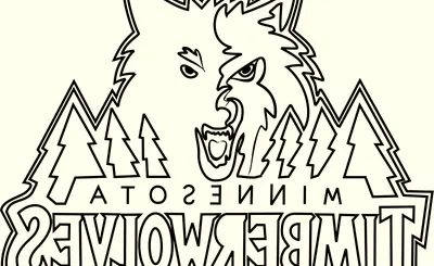 Minnesota Timberwolves