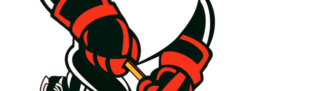 Wilkes-Barre Scranton Penguins