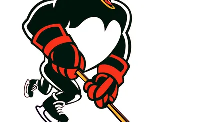 Wilkes-Barre Scranton Penguins